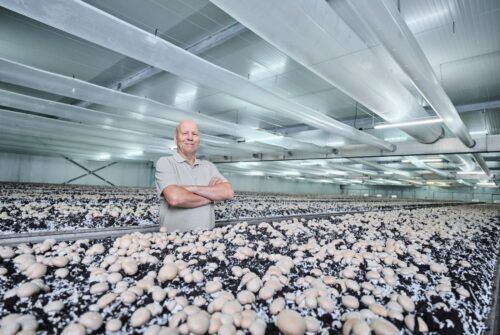 Paul tussen de champignons