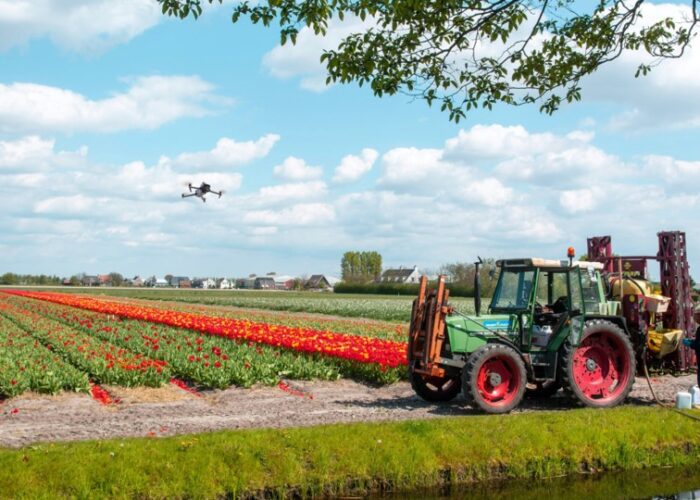 Drone boven bollenveld